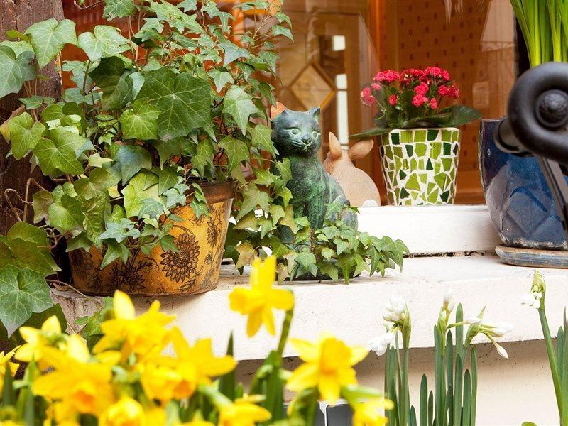 Hotel D'Albion Paris Bagian luar foto